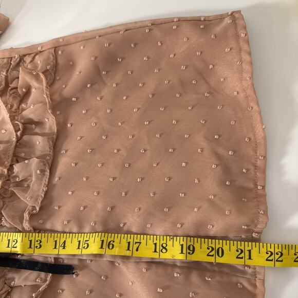 Blush Sheer Swiss Dot Ruffle Chiffon Blouse Puff Sleeve Mock Neck Victorian Sm - Picture 7 of 7